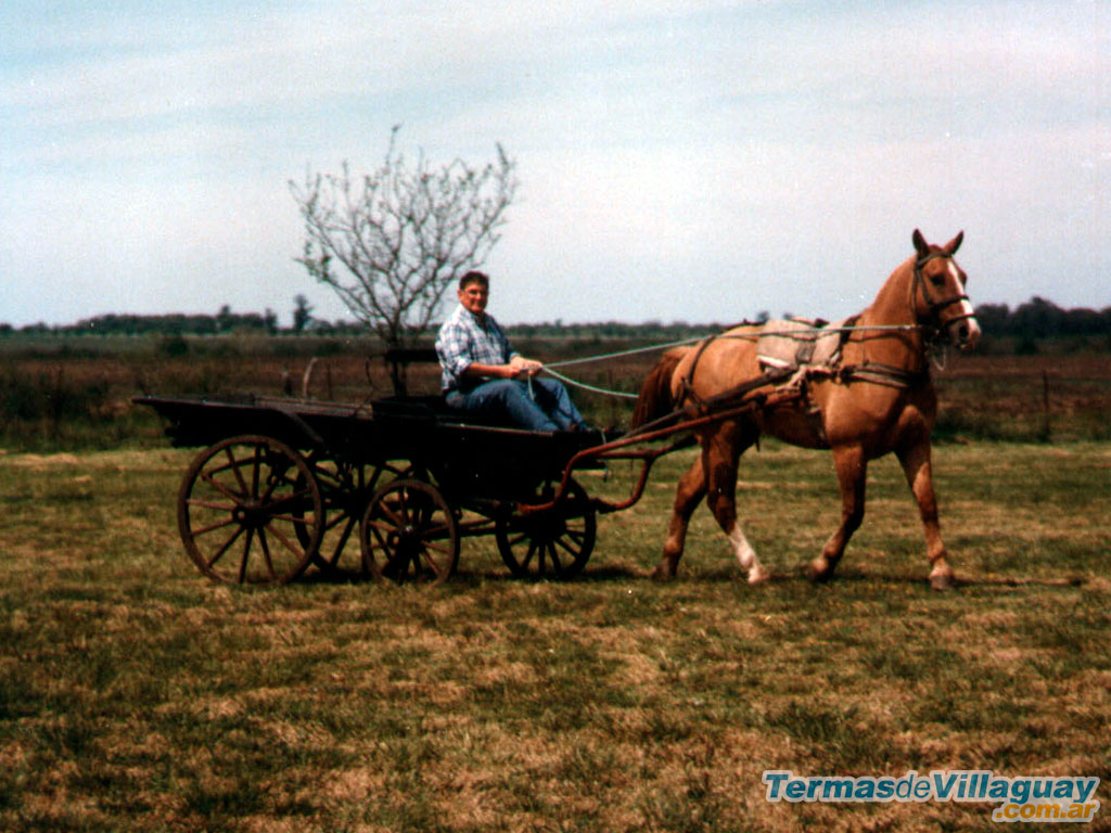 Turismo Rural en Villaguay - Imagen: Termasdevillaguay.com.ar